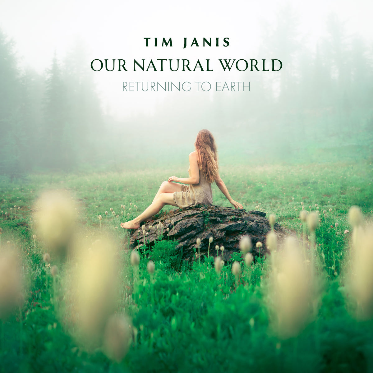 Collections – Tim Janis Ensemble
