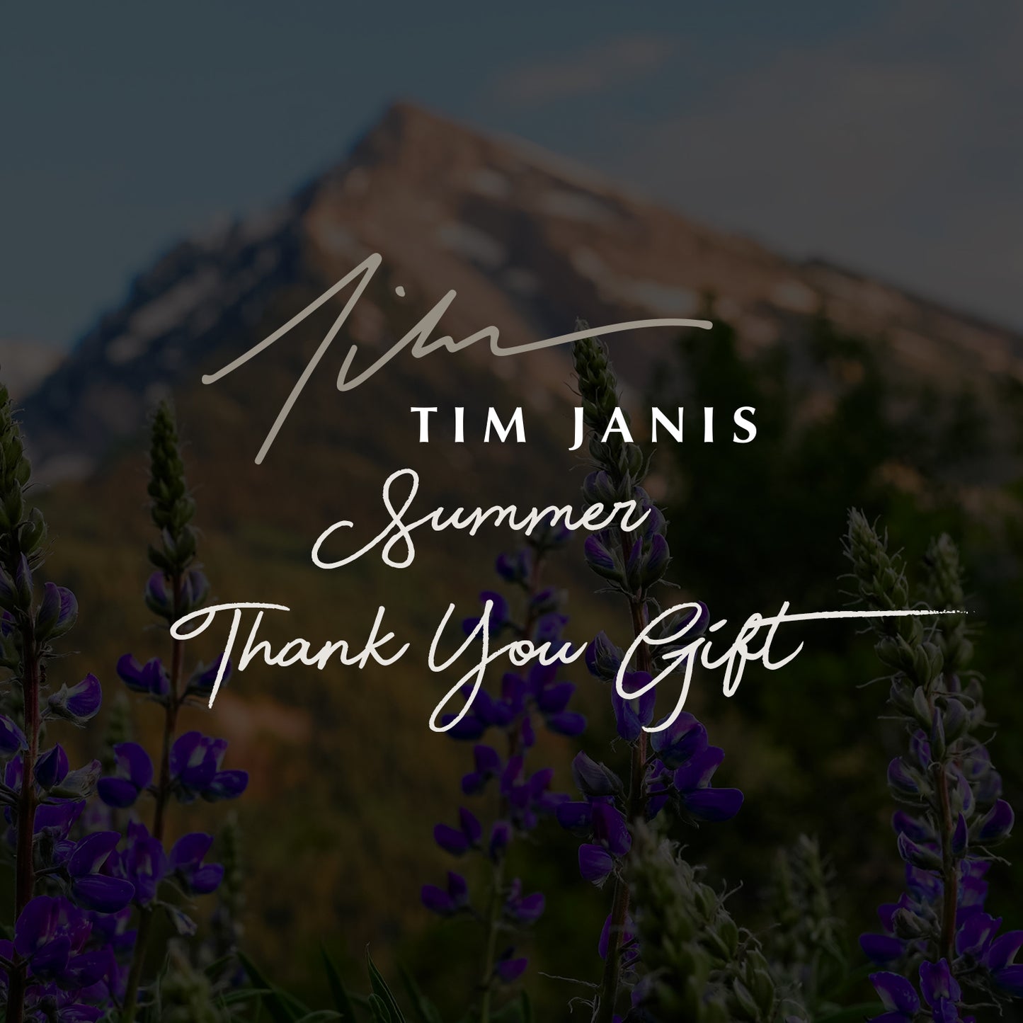 Tim Janis - Summer Thank You Gift $5